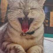 ヒメ日記 2025/05/06 07:20 投稿 いろは 脱がされたい人妻 宇都宮店