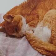 ヒメ日記 2025/05/07 07:20 投稿 いろは 脱がされたい人妻 宇都宮店