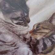 ヒメ日記 2025/05/09 07:30 投稿 いろは 脱がされたい人妻 宇都宮店