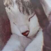 ヒメ日記 2025/05/10 09:00 投稿 いろは 脱がされたい人妻 宇都宮店