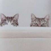 ヒメ日記 2025/05/12 06:31 投稿 いろは 脱がされたい人妻 宇都宮店