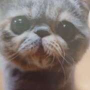 ヒメ日記 2025/05/14 07:20 投稿 いろは 脱がされたい人妻 宇都宮店