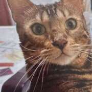 ヒメ日記 2025/05/15 07:10 投稿 いろは 脱がされたい人妻 宇都宮店