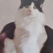 ヒメ日記 2025/05/17 07:30 投稿 いろは 脱がされたい人妻 宇都宮店