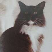 ヒメ日記 2025/05/19 07:00 投稿 いろは 脱がされたい人妻 宇都宮店