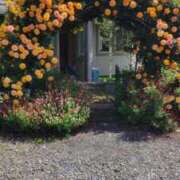 ヒメ日記 2025/05/21 07:00 投稿 いろは 脱がされたい人妻 宇都宮店