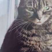 ヒメ日記 2025/05/26 07:00 投稿 いろは 脱がされたい人妻 宇都宮店