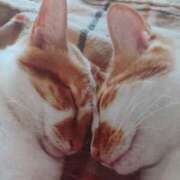 ヒメ日記 2025/06/04 07:10 投稿 いろは 脱がされたい人妻 宇都宮店