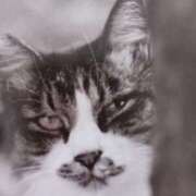 ヒメ日記 2025/06/06 07:00 投稿 いろは 脱がされたい人妻 宇都宮店