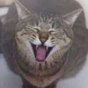 ヒメ日記 2025/06/09 07:20 投稿 いろは 脱がされたい人妻 宇都宮店