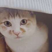 ヒメ日記 2025/06/11 07:20 投稿 いろは 脱がされたい人妻 宇都宮店