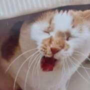 ヒメ日記 2025/06/13 07:00 投稿 いろは 脱がされたい人妻 宇都宮店