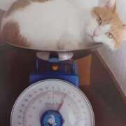 ヒメ日記 2025/06/14 07:30 投稿 いろは 脱がされたい人妻 宇都宮店