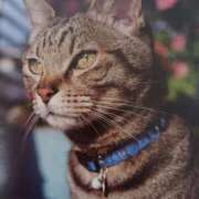 ヒメ日記 2025/06/16 07:20 投稿 いろは 脱がされたい人妻 宇都宮店