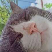 ヒメ日記 2025/06/17 07:10 投稿 いろは 脱がされたい人妻 宇都宮店