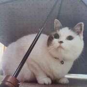 ヒメ日記 2025/06/19 07:00 投稿 いろは 脱がされたい人妻 宇都宮店