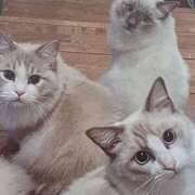 ヒメ日記 2025/06/20 07:00 投稿 いろは 脱がされたい人妻 宇都宮店