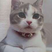 ヒメ日記 2025/06/21 07:00 投稿 いろは 脱がされたい人妻 宇都宮店