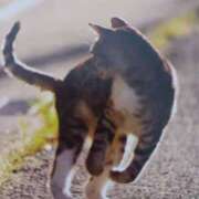 ヒメ日記 2025/06/23 07:10 投稿 いろは 脱がされたい人妻 宇都宮店