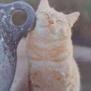 ヒメ日記 2025/06/25 07:00 投稿 いろは 脱がされたい人妻 宇都宮店