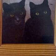 ヒメ日記 2025/06/26 07:00 投稿 いろは 脱がされたい人妻 宇都宮店