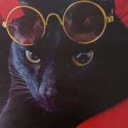 ヒメ日記 2025/06/28 07:00 投稿 いろは 脱がされたい人妻 宇都宮店