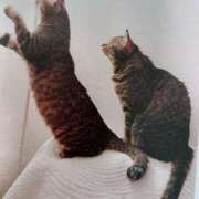 ヒメ日記 2025/06/30 07:00 投稿 いろは 脱がされたい人妻 宇都宮店