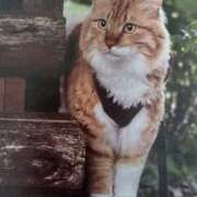 ヒメ日記 2025/07/01 07:00 投稿 いろは 脱がされたい人妻 宇都宮店