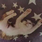 ヒメ日記 2025/07/05 07:00 投稿 いろは 脱がされたい人妻 宇都宮店