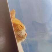 ヒメ日記 2025/07/06 07:00 投稿 いろは 脱がされたい人妻 宇都宮店