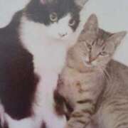 ヒメ日記 2025/07/08 07:10 投稿 いろは 脱がされたい人妻 宇都宮店