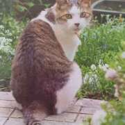 ヒメ日記 2025/07/09 07:00 投稿 いろは 脱がされたい人妻 宇都宮店