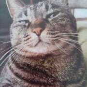 ヒメ日記 2025/07/10 07:49 投稿 いろは 脱がされたい人妻 宇都宮店