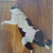 ヒメ日記 2025/07/14 07:00 投稿 いろは 脱がされたい人妻 宇都宮店