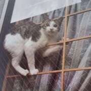 ヒメ日記 2025/07/15 06:50 投稿 いろは 脱がされたい人妻 宇都宮店