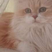 ヒメ日記 2025/07/16 07:00 投稿 いろは 脱がされたい人妻 宇都宮店