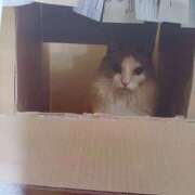 ヒメ日記 2025/07/17 06:50 投稿 いろは 脱がされたい人妻 宇都宮店