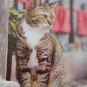 ヒメ日記 2025/07/18 06:21 投稿 いろは 脱がされたい人妻 宇都宮店