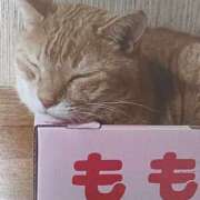 ヒメ日記 2025/07/21 06:47 投稿 いろは 脱がされたい人妻 宇都宮店