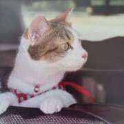 ヒメ日記 2025/07/23 07:28 投稿 いろは 脱がされたい人妻 宇都宮店