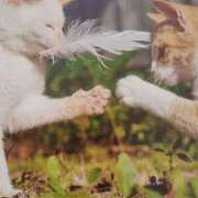 ヒメ日記 2025/07/24 06:50 投稿 いろは 脱がされたい人妻 宇都宮店