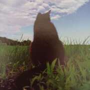 ヒメ日記 2025/07/27 06:51 投稿 いろは 脱がされたい人妻 宇都宮店