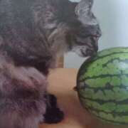 ヒメ日記 2025/08/02 06:50 投稿 いろは 脱がされたい人妻 宇都宮店