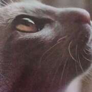 ヒメ日記 2025/08/04 06:50 投稿 いろは 脱がされたい人妻 宇都宮店