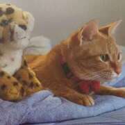 ヒメ日記 2025/08/05 06:31 投稿 いろは 脱がされたい人妻 宇都宮店