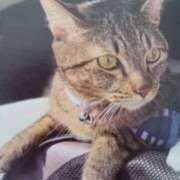 ヒメ日記 2025/08/07 06:13 投稿 いろは 脱がされたい人妻 宇都宮店