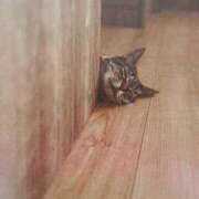 ヒメ日記 2025/08/08 06:11 投稿 いろは 脱がされたい人妻 宇都宮店