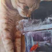 ヒメ日記 2025/08/09 06:11 投稿 いろは 脱がされたい人妻 宇都宮店