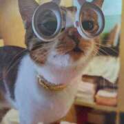 ヒメ日記 2025/08/12 05:57 投稿 いろは 脱がされたい人妻 宇都宮店