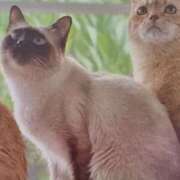 ヒメ日記 2025/08/13 06:10 投稿 いろは 脱がされたい人妻 宇都宮店